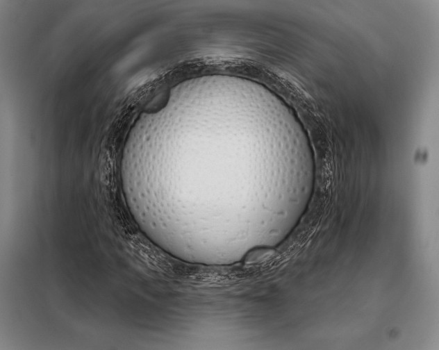 X0000098140917200805011340