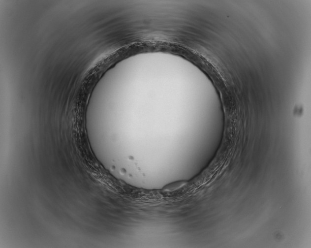 X0000098140919200805011340