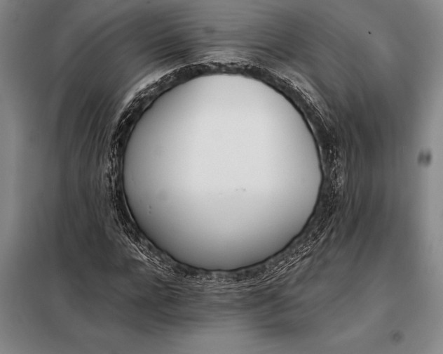 X0000098140920200805011340