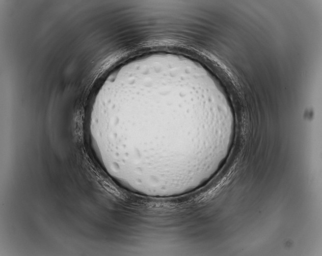 X0000098140921200805011340