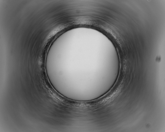 X0000098140922200805011340