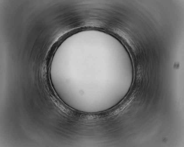 X0000098140923200805011340