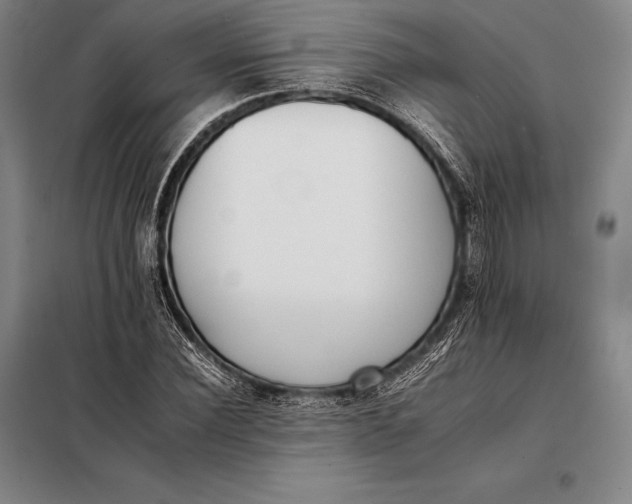 X0000098140924200805011340