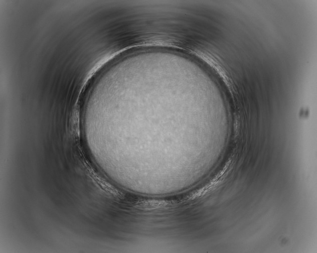 X0000098140925200805011340
