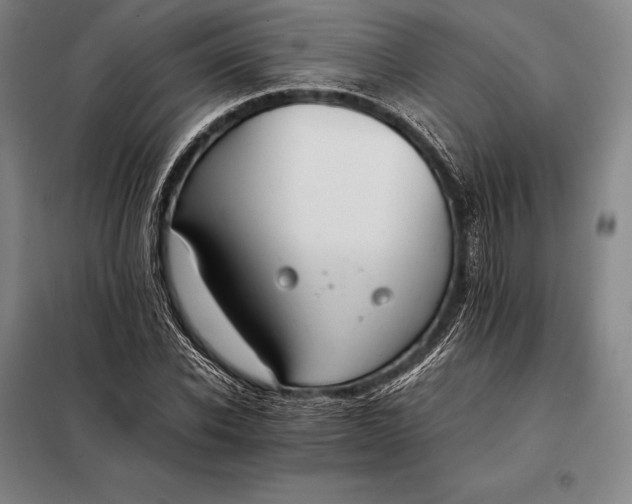 X0000098140926200805011340