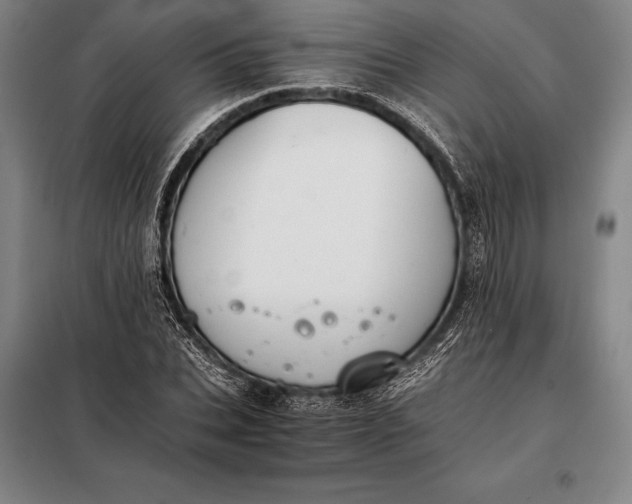 X0000098140927200805011340