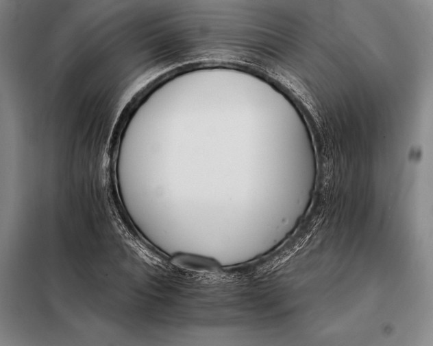 X0000098140928200805011340