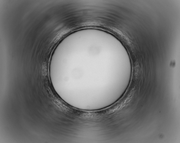 X0000098140929200805011340