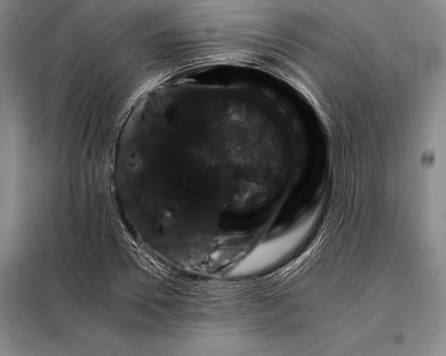 X0000098140930200805011340