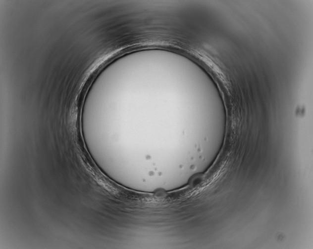 X0000098140933200805011340