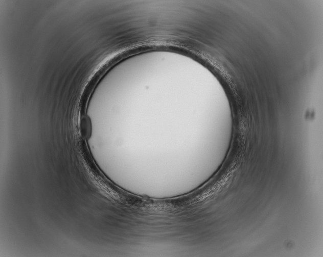 X0000098140934200805011340