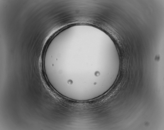 X0000098140936200805011340