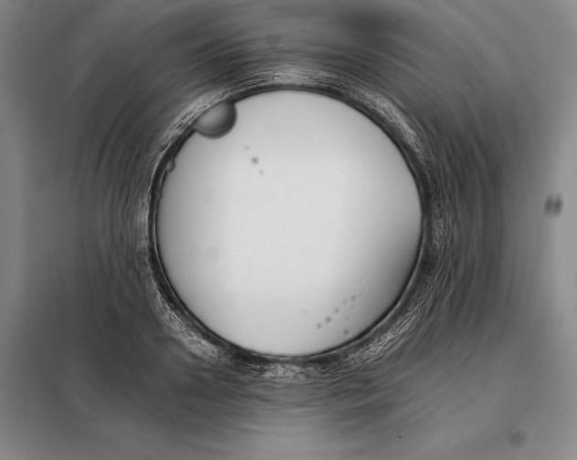 X0000098140938200805011340