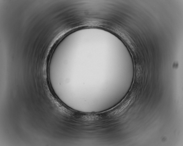 X0000098140939200805011340