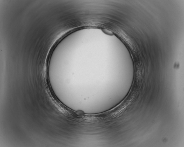 X0000098140940200805011340