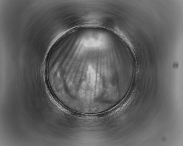 X0000098140941200805011340