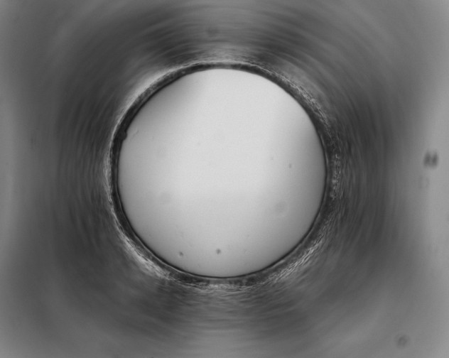 X0000098140942200805011340