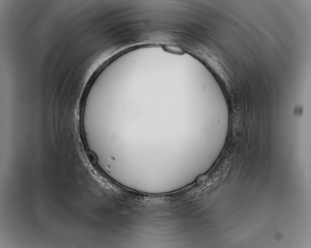 X0000098140944200805011340