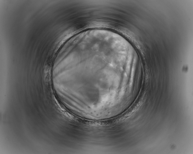 X0000098140945200805011340
