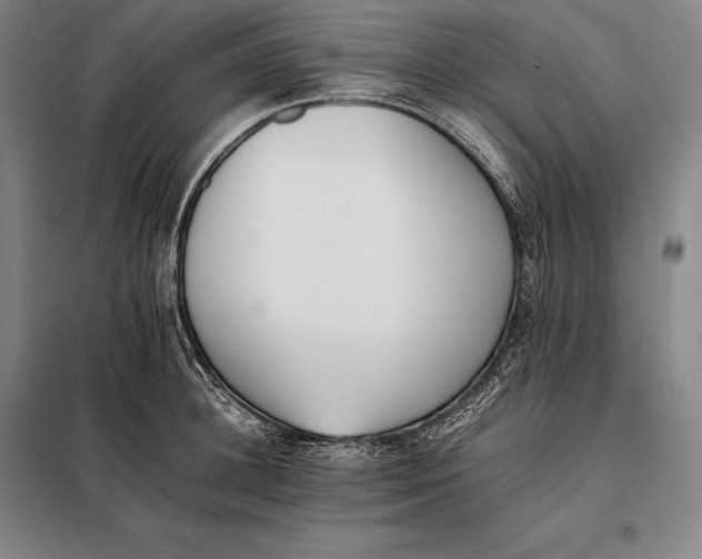 X0000098140948200805011340