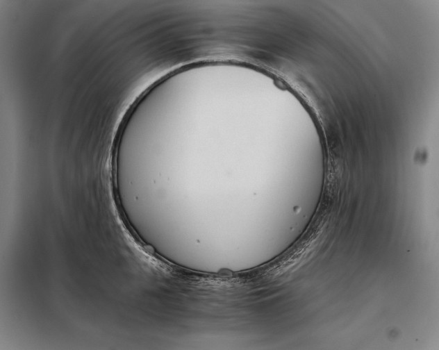 X0000098140951200805011340