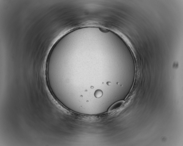X0000098140957200805011341