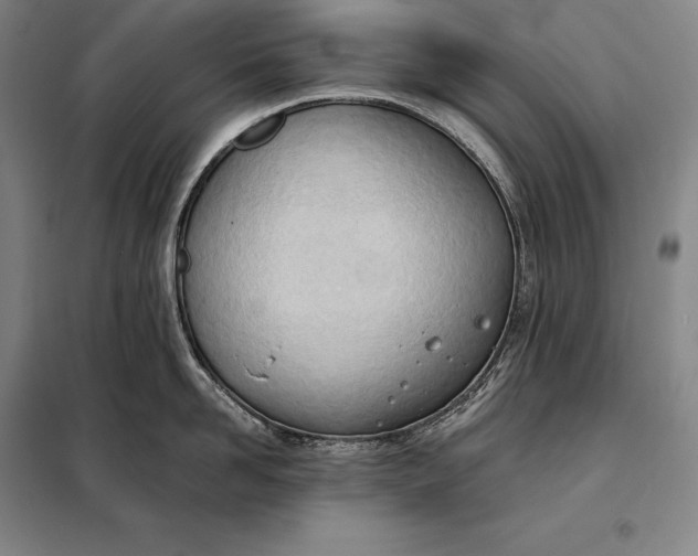 X0000098140958200805011341