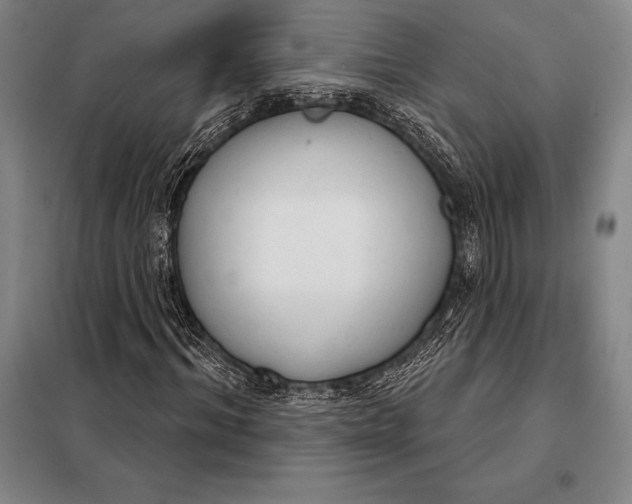 X0000098140964200805011340
