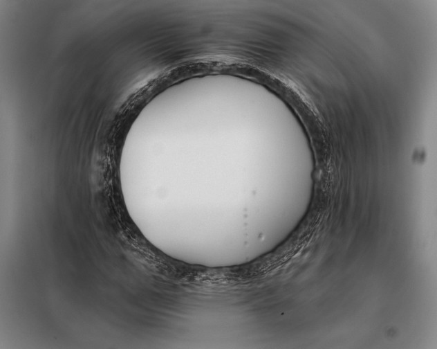 X0000098140967200805011340
