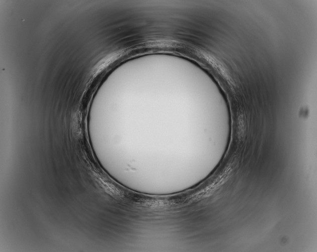 X0000098140970200805011340