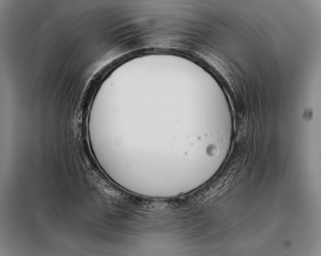 X0000098140971200805011340