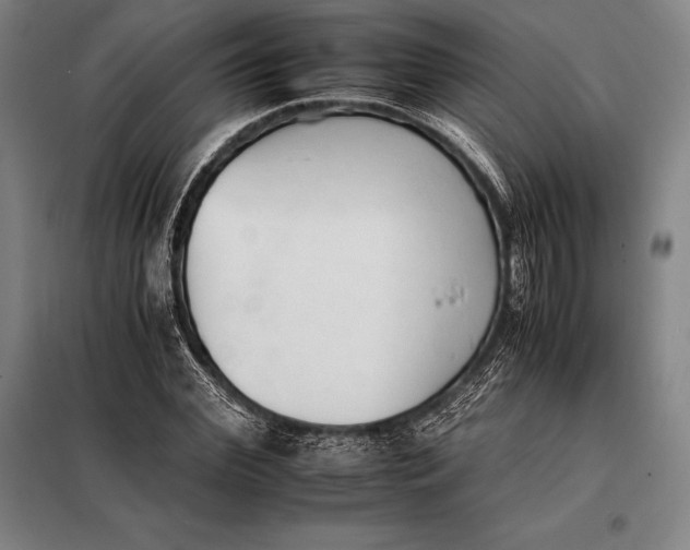 X0000098140972200805011340