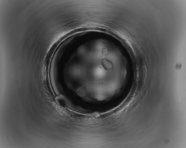 X0000098140973200805011340