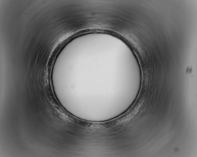X0000098140974200805011340
