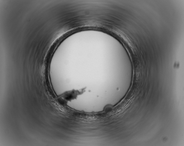 X0000098140975200805011340