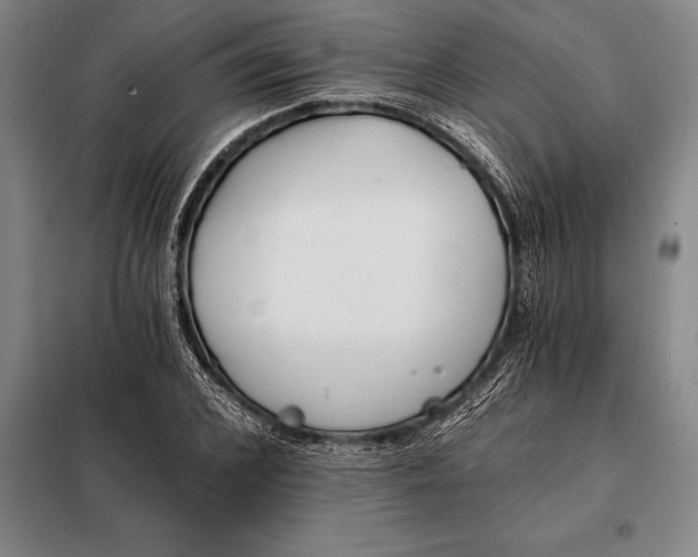 X0000098140976200805011340