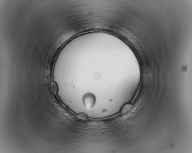 X0000098140977200805011340