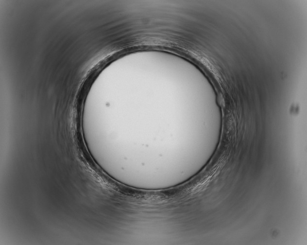X0000098140979200805011340