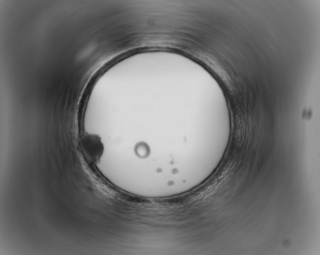 X0000098140980200805011340