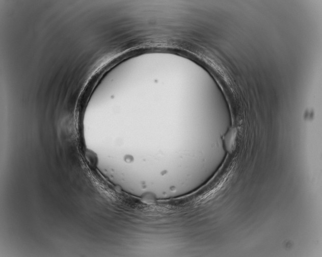 X0000098140981200805011340