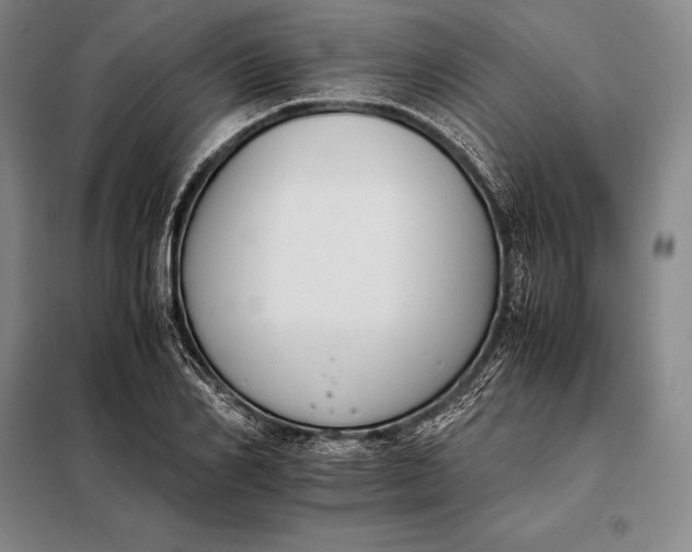 X0000098140982200805011340