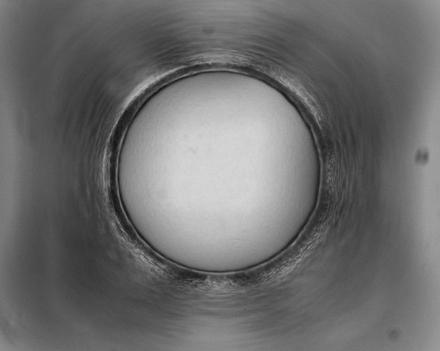 X0000098140983200805011340