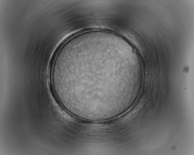 X0000098140984200805011340