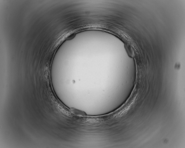 X0000098140985200805011340