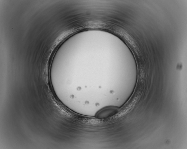 X0000098140986200805011340