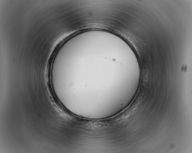 X0000098140987200805011340