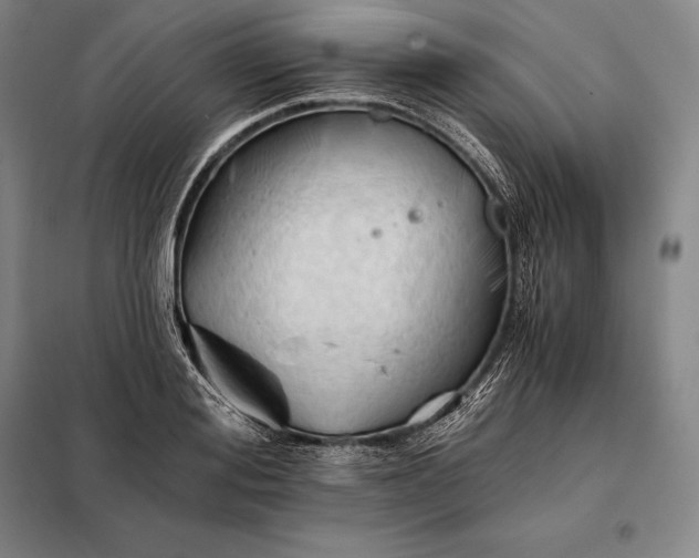 X0000098140988200805011340