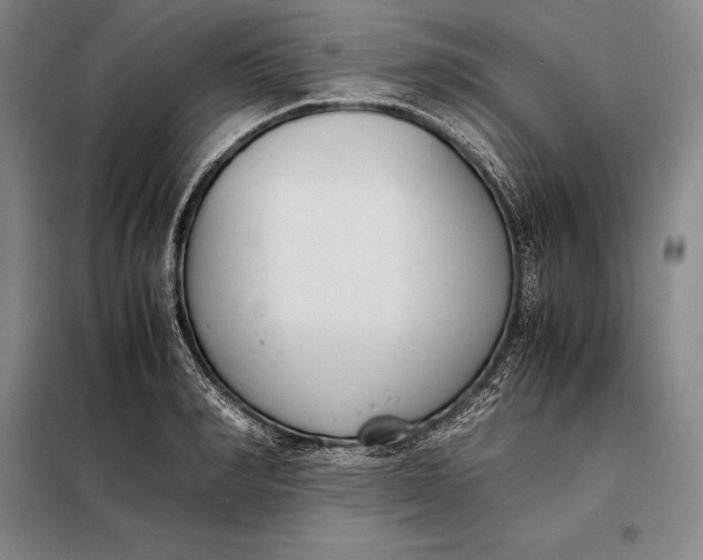 X0000098140990200805011339