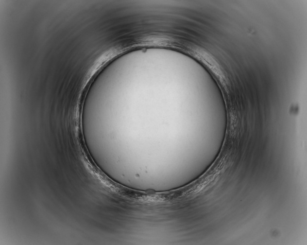 X0000098140994200805011339