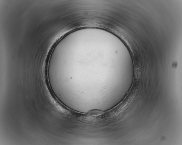 X0000098140995200805011339